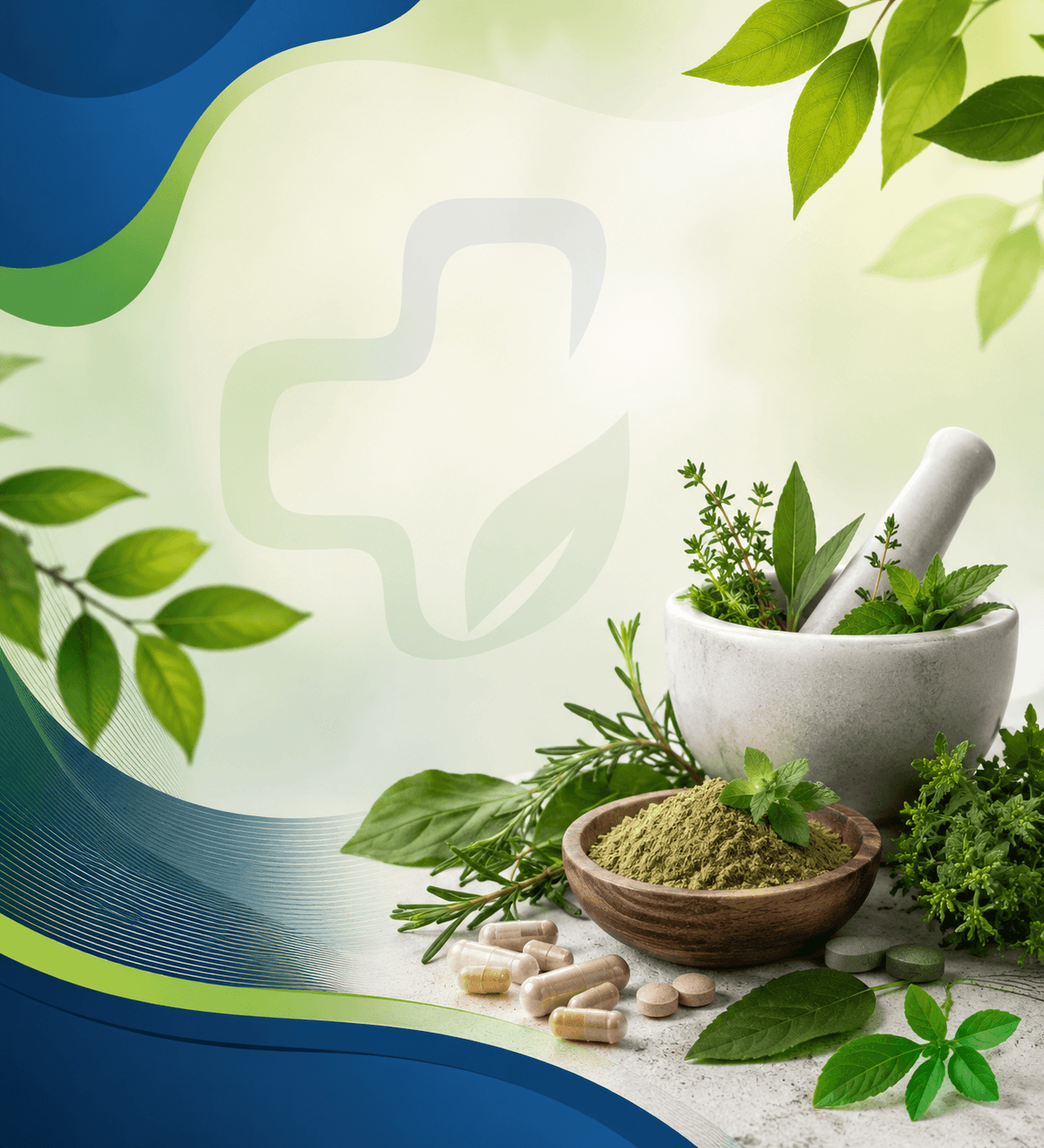 Medicon Naturals  - Elevating Everyday Wellness Through Nature